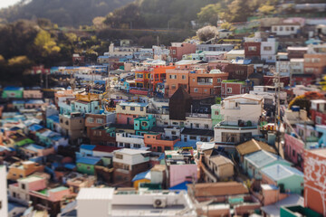 Fototapeta premium View of Gamcheon Culture village, Busan city, South Korea, Gamcheon-dong, Saha District, beautiful view of streets and multicoloured houses in a summer sunny day, Republic of Korea travel
