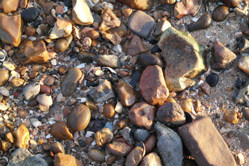 Stones on the beach