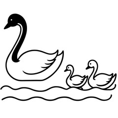 swan