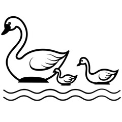two swans on the water