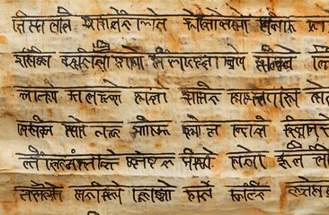 Fototapeta premium Prajit Green Peanut: Historical Indian Inscriptions of Peanuts on a White Background, stock photo,