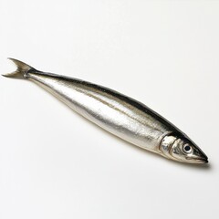 Single anchovy fillet glistening with silvery sheen on a clean surface showcasing its fresh quality and detail