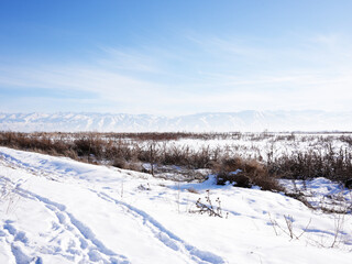 winter landscape with snow