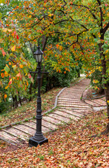 Naklejka premium Old Park. Nice autumn weather for walks in nature.
