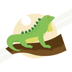 An illustration of a green iguana representing reptiles and nature