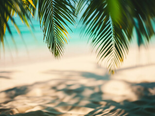 Fototapeta premium Close-up of sunlight filtering through lush green palm leaves, casting intricate shadows on a sandy beach