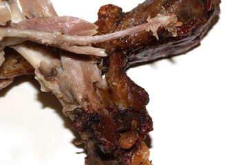 Closeup of an eaten chewed chicken duck leg bone with meat and tendon on a white background