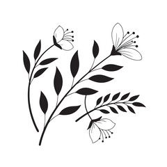 black and white flowers