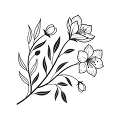 black and white flowers