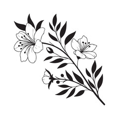 black and white floral background