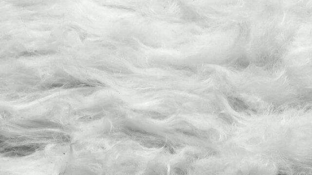 white wool with a visible texture. background