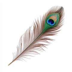 Obraz premium Colorful Ornate Peacock Feather with Intricate Details on a Bright Background