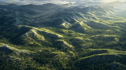 A sweeping aerial view of mountain ridges covered in dense pine forests
