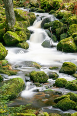 A waterfall in Triberg black forest with a misty spray. The water is white and the rocks are grey. The waterfall is surrounded by moss and rocks