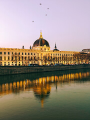 A large building in Lyon France with a dome on top. The building is surrounded by trees and a river. There are several birds flying in the sky