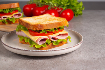 Close-up of two sandwiches with bacon, salami, prosciutto and fresh vegetables on rustic wooden cutting board. Club sandwich concept