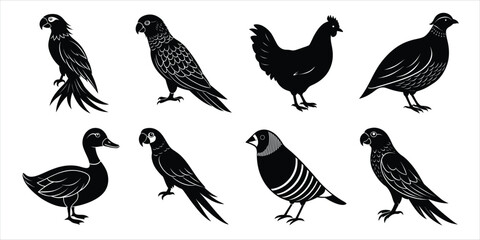 Bird silhouette collection. Domestic bird set vector illustration