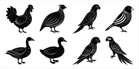 Bird silhouette collection. Domestic bird set vector illustration