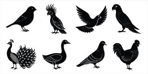 Bird silhouette collection. Domestic bird set vector illustration