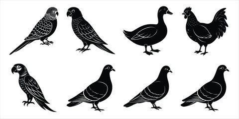 Bird silhouette collection. Domestic bird set vector illustration