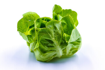 fresh green lettuce