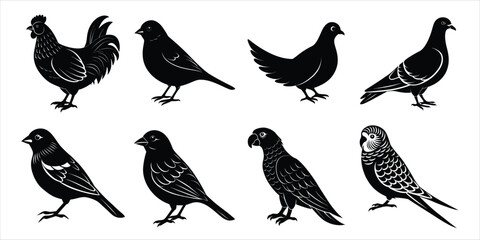Obraz premium Bird silhouette collection. Domestic bird set vector illustration