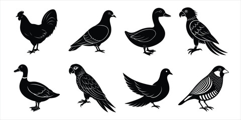 Obraz premium Bird silhouette collection. Domestic bird set vector illustration