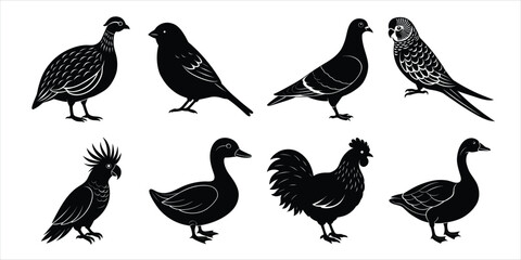 Fototapeta premium Bird silhouette collection. Domestic bird set vector illustration
