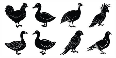 Naklejka premium Bird silhouette collection. Domestic bird set vector illustration