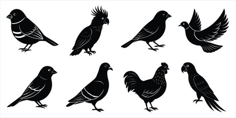 Bird silhouette collection. Domestic bird set vector illustration