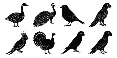 Naklejka premium Bird silhouette collection. Domestic bird set vector illustration