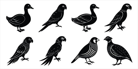 Bird silhouette collection. Domestic bird set vector illustration