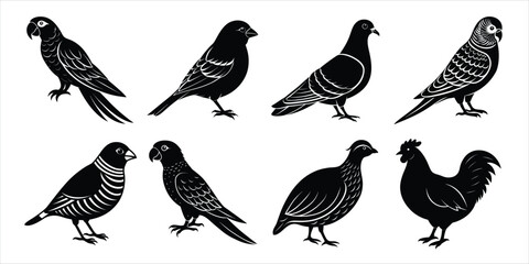 Obraz premium Bird silhouette collection. Domestic bird set vector illustration