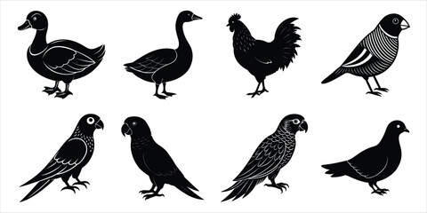 Bird silhouette collection. Domestic bird set vector illustration