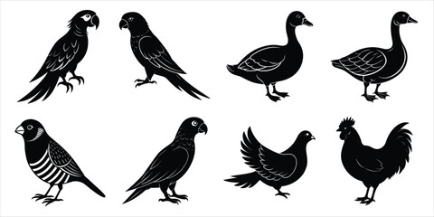 Naklejka premium Bird silhouette collection. Domestic bird set vector illustration