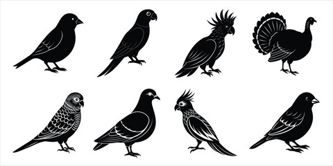 Bird silhouette collection. Domestic bird set vector illustration