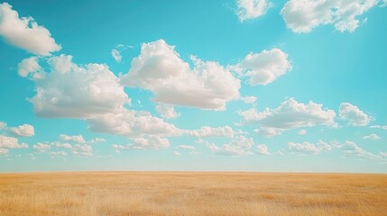 Expansive golden field under a bright blue sky filled with fluffy white clouds, evoking tranquility