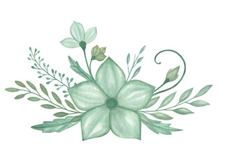 Watercolor Floral, watercolor flowers green flower and branches Illustration. Hand painted isolated on white background.