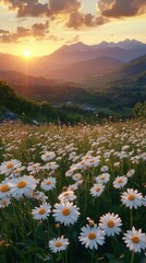 Fototapeta premium Daisy field at sunset over mountain village