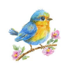 Fototapeta premium Spring cherry flowers and baby bird sitting on branch. Watercolor illustration for greeting card or invitation..