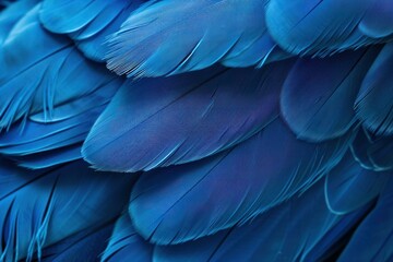 Close up view of vibrant blue feathers overlapping, forming a beautiful and intricate natural pattern