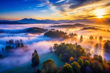 Majestic Silhouetted Trees & Foggy Blue Mountains - Drone Photography