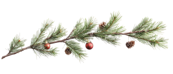 A green pine tree branch decorated with festive ornaments, captured with soft and even lighting. Isolated on White Background, clipping path  - 