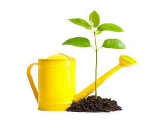 Yellow watering can with green plant isolated on transparent or white background, png