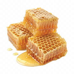 realistic 3d honey comb or beeswax isolated on white backgrund

