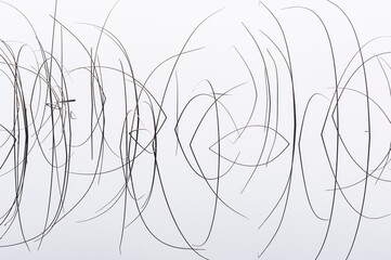 Reflections of Reeds in Orderly Patterns Across a Calm Water Surface in Sweden