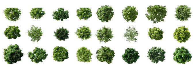 3D Top View Green Trees Vector Illustration Collection Isolated on PNG Transparent Background, Use for Garden Decor, Landscape Design, Architectural Visualization