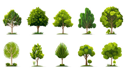 Fototapeta premium Collection of tree vector icons, green illustration set, eco tree graphics, nature icons, forest trees vector art, environmental designs, green illustration collection