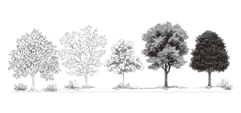 Tree Line Images – Browse 2,281,544 Stock Photos, Vectors, and Video ...