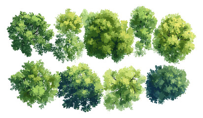Vector illustration of abstract watercolor tree top view, isolated on white background for landscape plan, architecture layout drawing, garden elements, environment, flower blooming